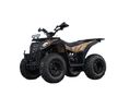 CZ 250 RZF250