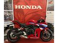 HONDA CBR 650 R 2025 - 1