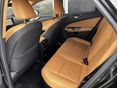 LEXUS NX 2025/2 - 4