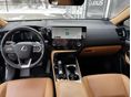 LEXUS NX 2025/2 - 5