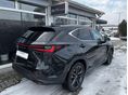 LEXUS NX 2025/2 - 8