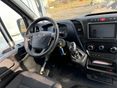 IVECO DAILY 2019/2 - 5