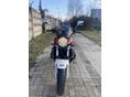 HONDA CB 1300 2009 - 3