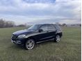 MERCEDES-BENZ ML 350 2013/1 - 8