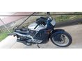 HONDA CBR 600 F PC19