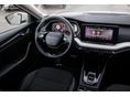 SKODA OCTAVIA 2026 - 4