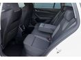 SKODA OCTAVIA 2026 - 6