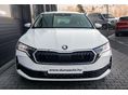 SKODA OCTAVIA 2026 - 12