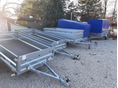NEPTUN 2026/1 - 12