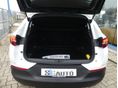OPEL GRANDLAND X 2020/9 - 5
