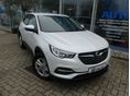 OPEL GRANDLAND X 2020/9 - 1