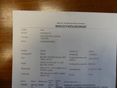 OPEL GRANDLAND X 2020/9 - 17