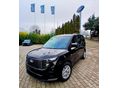 FORD COURIER Tourneo1.0 Trend A családi egyterű! Rendelhető!