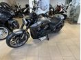 MORBIDELLI C1002V 2024 - 5