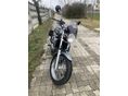 TRIUMPH THUNDERBIRD 2002 - 7