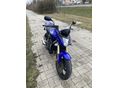 HONDA CB 600 F (HORNET) 2007 - 10