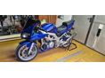 SUZUKI SV 1000 S 