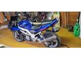 SUZUKI SV 1000 S 2004/8 - 3