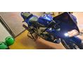 SUZUKI SV 1000 S 2004/8 - 5
