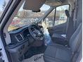 FORD TRANSIT 2026 - 9