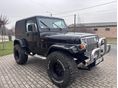 JEEP WRANGLER 1995 - 5