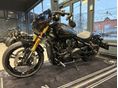 INDIAN SCOUT 2026 - 4