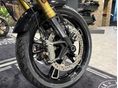 INDIAN SCOUT 2026 - 7