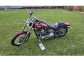 HARLEY-DAVIDSON SOFTAIL 2004/3 - 2