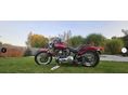 HARLEY-DAVIDSON SOFTAIL 2004/3 - 3