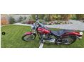 HARLEY-DAVIDSON SOFTAIL 2004/3 - 4