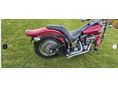 HARLEY-DAVIDSON SOFTAIL 2004/3 - 6