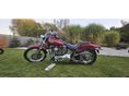 HARLEY-DAVIDSON SOFTAIL 2004/3 - 7
