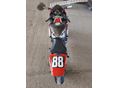HONDA CBR 1000 RR 2011/1 - 3