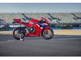 HONDA CBR 600 RR Versenyre termett - 6év garanciával