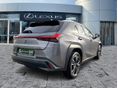 LEXUS UX 2021 - 4