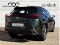 LEXUS UX 2021 - 2