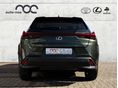 LEXUS UX 2021 - 5