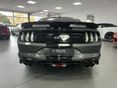 FORD MUSTANG 2021 - 6