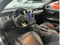 FORD MUSTANG 2021 - 8