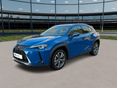 LEXUS UX 300 e Mark and Livingston