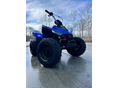 LINHAI ATV 110 2026 - 3