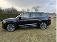 SKODA KODIAQ 2022/1 - 2