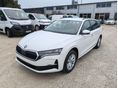 SKODA OCTAVIA 2026/2 - 1