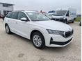 SKODA OCTAVIA 2026/2 - 5