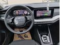 SKODA OCTAVIA 2026/2 - 8