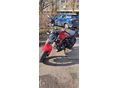 BENELLI 302 S 2020 - 2