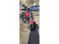 BENELLI 302 S 2020 - 4