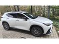 LEXUS NX 2023 - 4