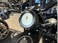 INDIAN CHIEF 2026 - 5