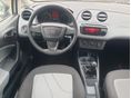 SEAT IBIZA 2012/6 - 10